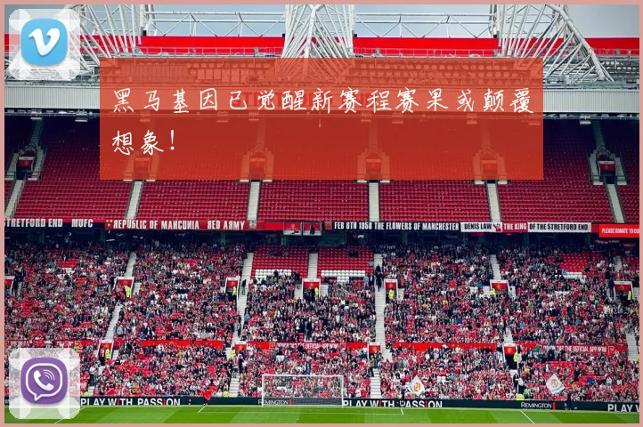 黑马基因已觉醒新赛程赛果或颠覆想象！